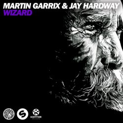 Pochette Martin Garrix & Jay Hardway - Wizard (Original Mix)