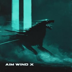 Pochette AIM WIND X & AIM WIND - Run