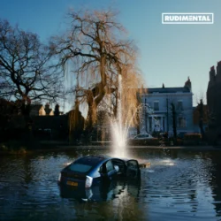 Pochette Rudimental & Omar - Alive