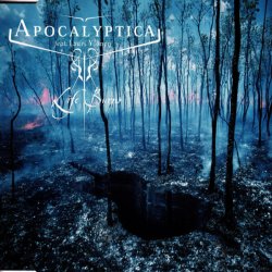 Pochette Apocalyptica Feat. Lauri Ylönen - Life Burns