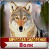 Pochette Вячеслав Сидоренко - Волк Вячеслав Сидоренко - Волк