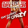 Pochette Andrew Spencer - She Drives Me Crazy (Festival Extended Mix) Andrew Spencer - She Drives Me Crazy (Festival Extended Mix)