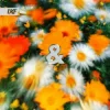 Pochette Ekko & Sidetrack - Peace of Mind Ekko & Sidetrack - Peace of Mind