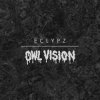 Owl Vision - Zyborg