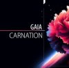 Pochette Gaia - Carnation Gaia - Carnation