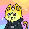 Pochette Cosmic Cats - Cats Choose a Direction Cosmic Cats - Cats Choose a Direction