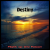 Pochette Flight of the Falcon - Destiny (Radio edit)