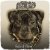 Pochette Dogg Master - You're So Freaky