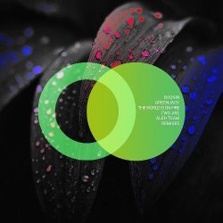 Pochette Boosin & Greenjack - The World Is on Fire (Aleh Team Remix)