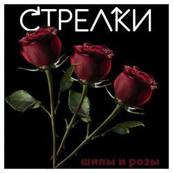 Pochette Sтрелки - Нет любви