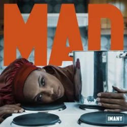 Pochette Imany - Mad