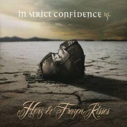 Pochette In Strict Confidence - The Darkside