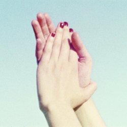 Pochette Sally Dige - You
