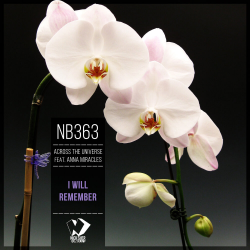 Pochette I Will Remember (Original mix)