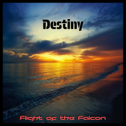Pochette Destiny (Radio edit)