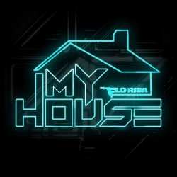 Pochette Flo Rida feat. Chris Brown - Here It Is