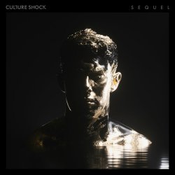 Pochette Sub Focus feat. Culture Shock - Move Higher