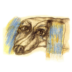 Pochette Dolphin - Романс