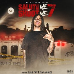 Pochette Waka Flocka Flame - Fight