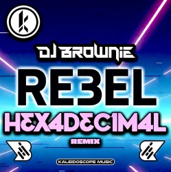 Pochette DJ Brownie & Hexadecimal - Bass Dropper!
