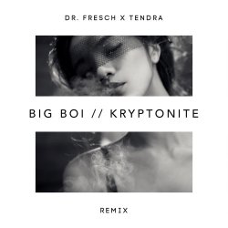 Pochette Big Boi - Kryptonite (Dr. Fresch x Tendra Remix)