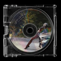 Pochette Nicole Cherry - Quitarte To