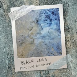 Pochette Black Lama - Кипит Жизнь