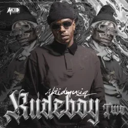 Pochette AkiidMusiq - Vutha Mlilo (Mixed)