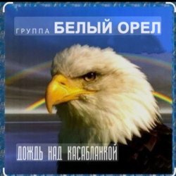 Pochette Белый Орел - Дождь смывает все следы