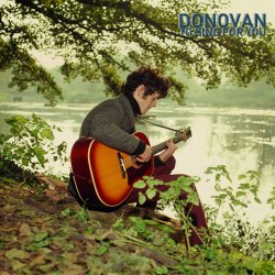 Pochette Donovan - Hi, It's Been A Long Time