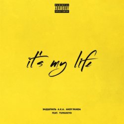 Pochette Эндшпиль & TumaniYO - It's My Life
