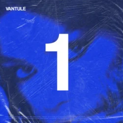 Pochette Misha Miller - Vantule