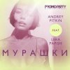 Pochette Andrey Pitkin feat. Lera Papish - Мурашки Andrey Pitkin feat. Lera Papish - Мурашки
