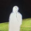 Pochette SEVER 505 - Emptiness SEVER 505 - Emptiness