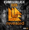 Pochette KSHMR & DallasK - Burn (Original Mix) KSHMR & DallasK - Burn (Original Mix)