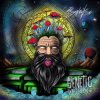 Psydewise - Genetic Reflection