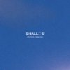 Shallou - Face in the Crowd (Knowpoint Remix)