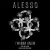 Pochette Alesso feat. Nico & Vinz - I Wanna Know (Alesso & Deniz Koyu Remix) Alesso feat. Nico & Vinz - I Wanna Know (Alesso & Deniz Koyu Remix)