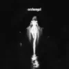 Pochette Dj Anemia - Archangel 2 Dj Anemia - Archangel 2