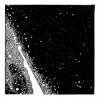 Pochette Ivy Lab - Magikess Ivy Lab - Magikess