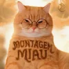 Pochette Lenar & Leonardo P - Montagem Miau - Slowed Lenar & Leonardo P - Montagem Miau - Slowed