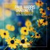Pochette Paul Harris feat. Dragonette - One Night Lover (Nora en Pure Remix) Paul Harris feat. Dragonette - One Night Lover (Nora en Pure Remix)