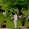 ХАС - Досі живий