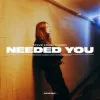 Pochette Stevie Krash & VASSY - Needed You Stevie Krash & VASSY - Needed You