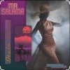 Pochette Mr Salama - Fall in love Mr Salama - Fall in love
