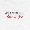 ASAMMUELL - Вот и все