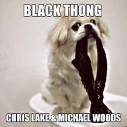 Pochette Chris Lake & Michael Woods - Black Thong (Original Mix)