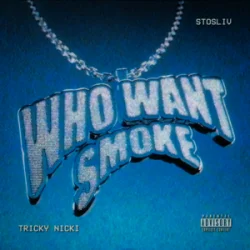 Pochette Tricky Nicki & STOSLIV - Who Want Smoke?