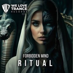 Pochette Forbidden Mind - Wanderer (Extended Mix)