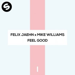 Pochette Felix Jaehn x Mike Williams - Feel Good
